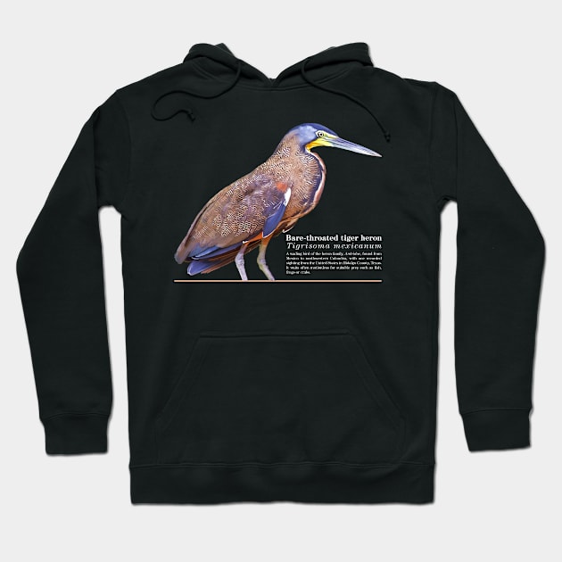 Bare-throated tiger heron tropical bird white text Hoodie by Ornamentum